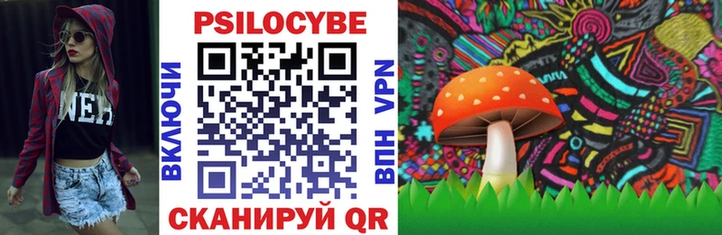 Купить  Кимры  Псилоцибиновые грибы прущие грибы 